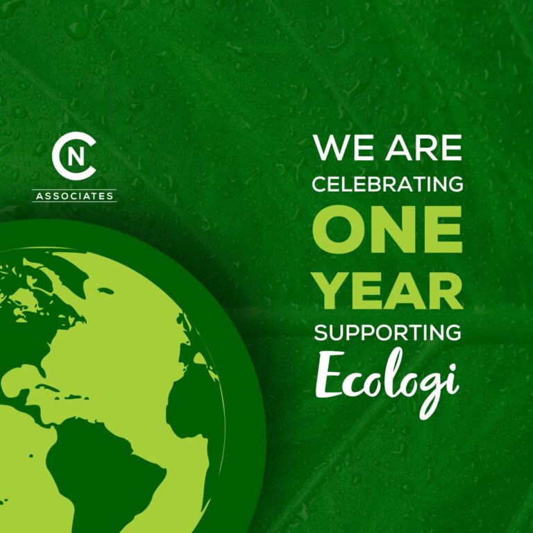 Celebrating one year supporting Ecologi