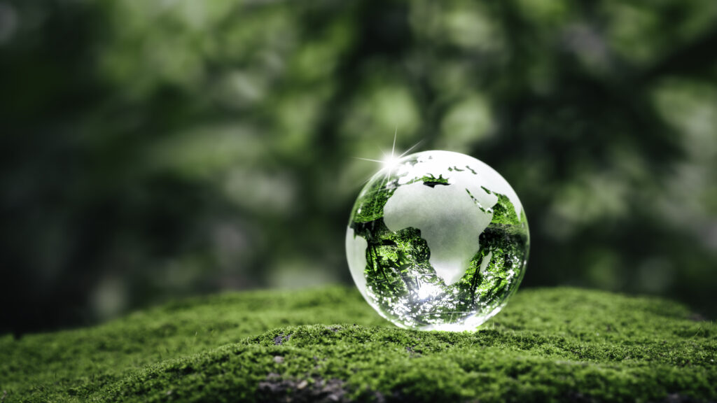 Carbon accounting